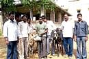 Activists with saved cattle in Gauribidnur on Wednesday. DH photo