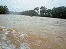 A partial view of River Cauvery overflowing near Dubare elephant camp. DH photo