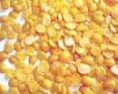 Pulses stocks rot in major ports as rates shoot up