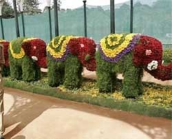 Elephants made of different flowers on display during a flower show at Lalbagh in Bangalore on Friday. PTI
