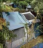 The tent and shacks in the backyard of a home in Antioch, where Jaycee lived. AP