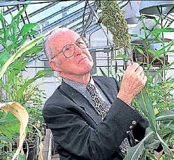 Norman Borlaug the father of green revolution
