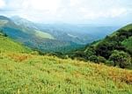 View from the top.... Thadiyandamol is the highest peak in Kodagu. Photo by Arun Bhat.