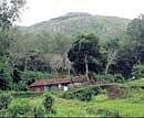 The site of the proposed neutrino project at Singara, Nilgiris.