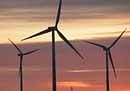 Govt to double wind power generation by 2022