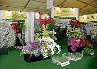 The expo will see different varieties of flowers.