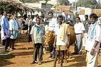 FIT AS FIDDLE: Farmers with their cattle at the free check up camp at Yadarur village on Sunday. DH Photo