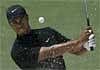 Tiger Woods in golf action-File photo