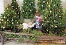 christmas crib: A Palestinian boy looks at an idol of infant Jesus inside the Church of Nativity, traditionally believed by Christians to be the birthplace of Jesus Christ, in the West Bank town of Bethlehem on Thursday. AP