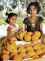 Kids looking at oranges at the horticulture mela that began on Saturday in Bangalore. DH photo