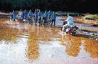 Students crossing the stream at Yennehole in Ajekaru near Hebri. DH Photo