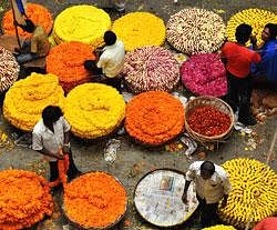 People buy flowers on the ocassion of Makara Sankranthi at the main wholesale market in Bangalore on Thursday. AFP