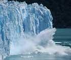 World misled over glacier meltdown: Report