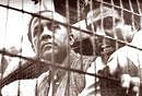 The fighter: As an opposition leader in his younger days, Basu courts arrest in Calcutta on November 15, 1973.