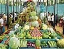 Vegetable arrangements: A large number of visitors at the Republic Day Horticulture Show at Lalbagh in the City on Tuesday. dh Photo