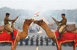 Camel contingents of BSF rehearse for the Beating Retreat ceremony ahead of Republic Day celebrations, in New Delhi on Sunday. PTI