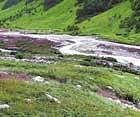 blooming valley The Pushpawati river flows near the national park.  photos by author