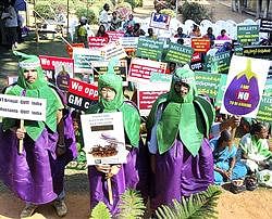 Greenpeace activists protesting against the commercial production of the Bt Brinjal during the National consultation meeting at CRIDA (Central research institute for dry land agriculture) in Santoshnagar in Hyderabad on Sunday. PTI