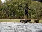 Let's head to Kabini