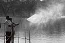 cleansing act: Solvent Maple em.1 being sprayed at Ulsoor Lake  on Wednesday. DH Photo