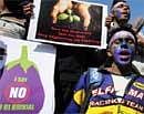 Activists and farmers stage a protest against the commercialisation of genetically modified BT Brinjal (eggplant) in Bangalore on February 6, 2010. AFP