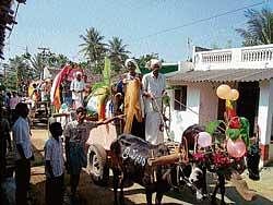 Decorated bullock carts attracted the attention of people at Gramasiri in Shirangala on Sunday.  DH photo