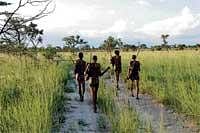 Trailing Mankind: In this undated photo provided by the journal Nature, a group of hunters from the Juhoansi tribe walk along a track in the Namibian Bush. Scientists said they had sequenced the genome of Bushmen, the longest-surviving lineage of modern humans. AFP