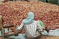 Tomatoes strewn in the APMC in Srinivaspur. DH Photo