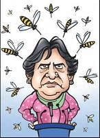 FIR lodged in bee attack on Maya