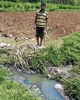 A farmer from Chowkalli village uses sewage water that flows beside his field for irrigation.