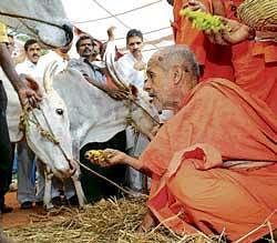 Anti-cow slaughter Bill opposed
