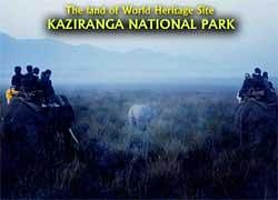 Unauthorised structures inside Kaziranga worry officials