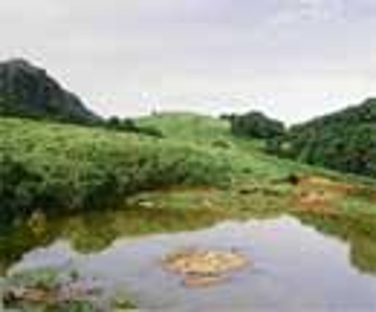 Taking the path less trodden