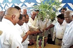 MLA K P Bachegowda inaugurating a programme organised to mark the creation of Permanent Irrigation Action Committee by watering a sapling in Chikballapur on Friday. DH PHOTO