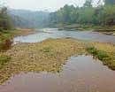 Water-level in Bhadra river has dropped to the minimum-level due to the absence of the seasonal rains. DH Photo