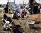 subhuman conditions: Displaced families continue to live in temporary sheds, braving scorching son, in Katakanoor and Bichhali villages of Raichur taluk. dh Photo