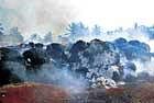 Destruction: Fire being doused at the Channabasaveshwara Ginning factory premises in Karjagi village in Haveri taluk on Wednesday. DH Photo