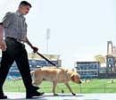 Keeping vigil:  A sniffer dog checks the D Y Patil Stadium ahead of Wednesdays IPL semifinal match in Navi Mumbai on Tuesday. PTI