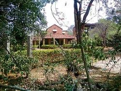 A  view of the Tataguni estate on Kanakapura Road. Photo by the author