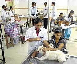 Doctors conducting checkup for the pets at Veterinary Hospital on the occasion of the World Veterinary day at Hebbal organised by Karnataka Veterinary, Animal and Fisheries Sciences University in Bangalore on Saturday.  DH Photo