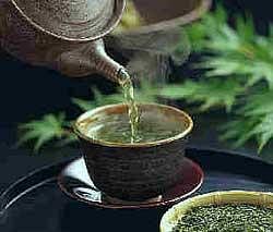 Green tea helps prevent eye disease