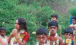Children fulfiling the vows by piercing iron rods across their cheeks. DH photos