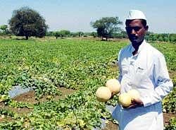 Vermicomposting turns into fortune for Gulbarga farmer