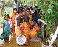 People waiting for their turn to collect water from a private borewell in Chikkatorepalya of Magadi taluk. DH Photo