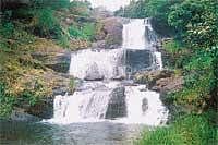 A view of Chelavara falls.DH Photo