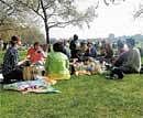 Meeting like-minded people: Couch surfers picnic at Hyde Park.