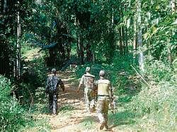 Anti-Naxal Force personnel conducting combing operations in forest areas of Malnad region on Wednesday at Kundapur.  dh photo