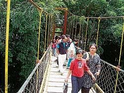 Leisure Tourists thronging Kaveri Nisargadhama near Kushalnagar. DH photo