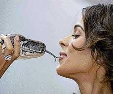 Actress Mallika Sherawat poses with a snake during a photo call for Hisss at the Cannes film festival on Sunday. AP