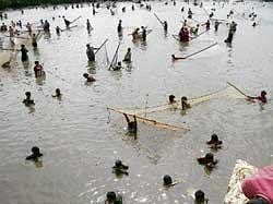 Kinnara celebrates fishing festival